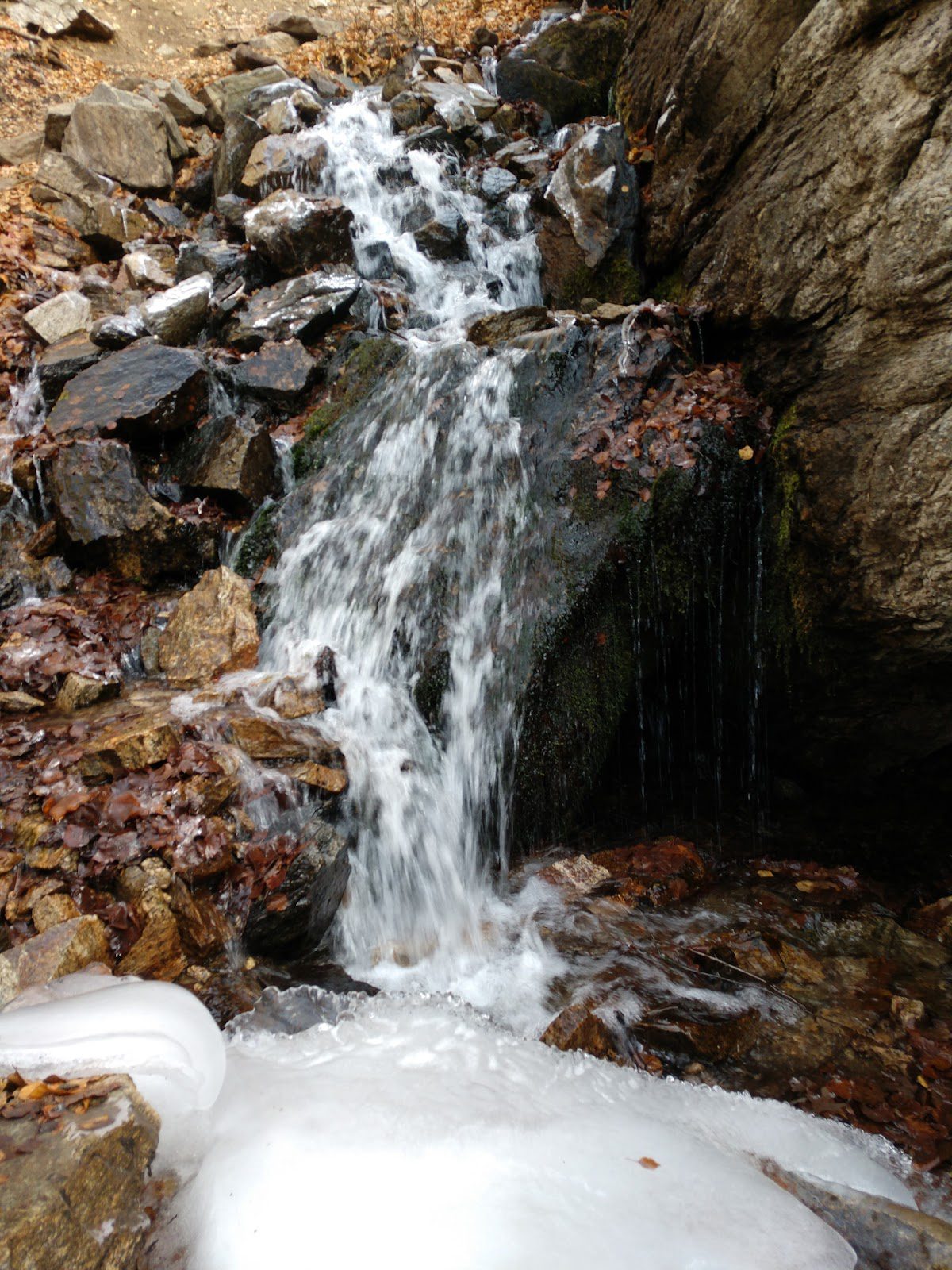 Burch Creek Trail